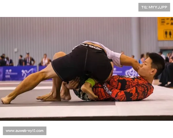 赛事融入巴西柔术等项目展示，多角度呈现综合格斗竞技魅力